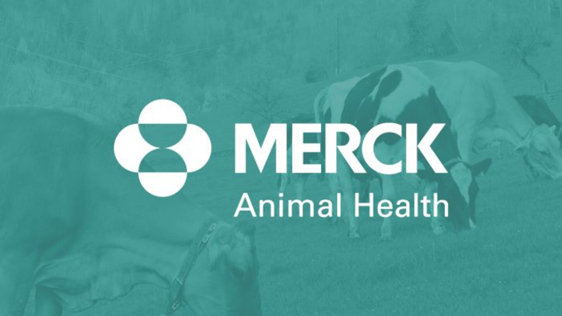 Merck iOs Field Application